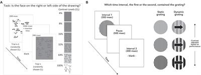 Normal Face Detection Over a Range of Luminance Contrasts in Adolescents With Autism Spectrum Disorder